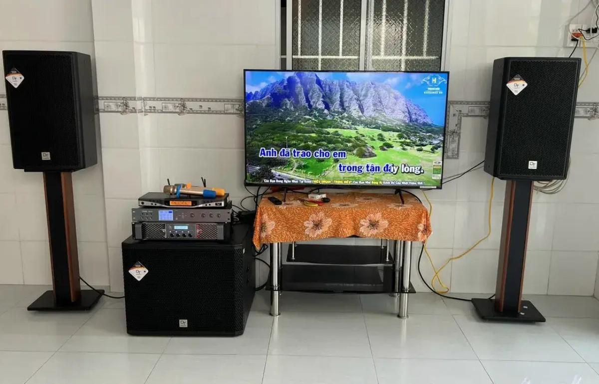 Dàn Âm Thanh Karaoke VIP23: Delta12+T900 New+V8Pro+Lion406+Delta115 - Hình 7